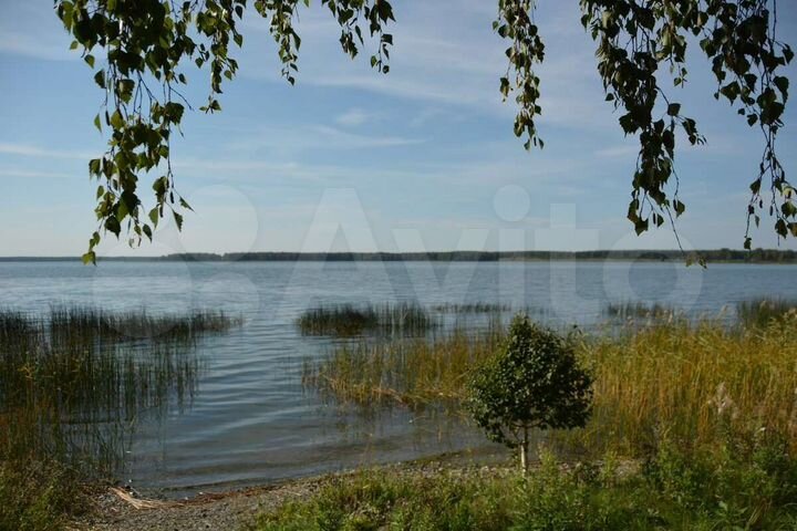 Участок 6 га (СНТ, ДНП)
