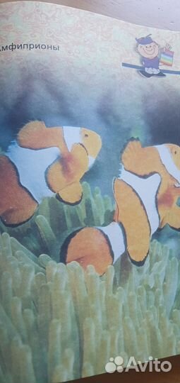 Энциклопедия для мальчиков