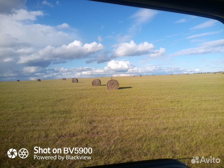 Продам сено в рулонах