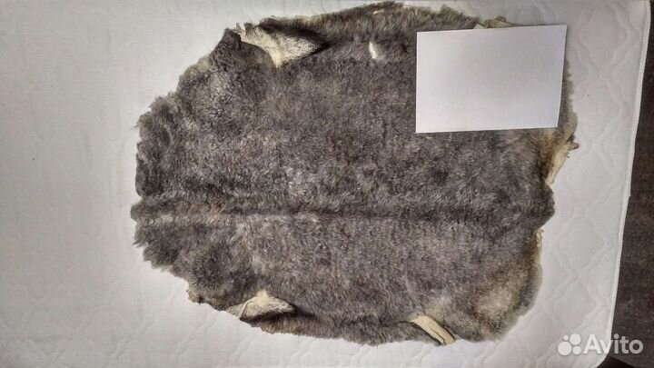 Овечьи и козьи шкуры