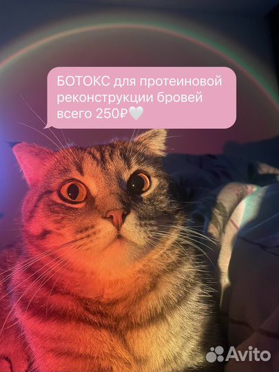 Ламинирование/окрашивание/коррекция бровей