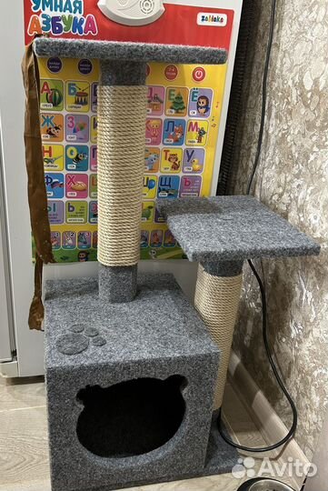 Бенгальский котенок девочка