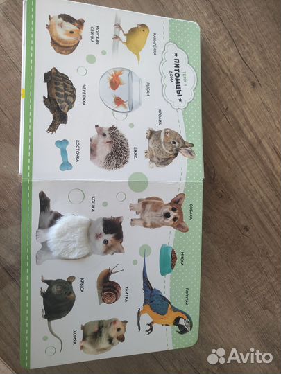 Фотокнига Первые слова Счастье внутри Музыкальная