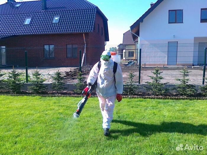 Дезинфекция