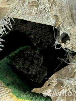 Навоз конский в мешках чернозём