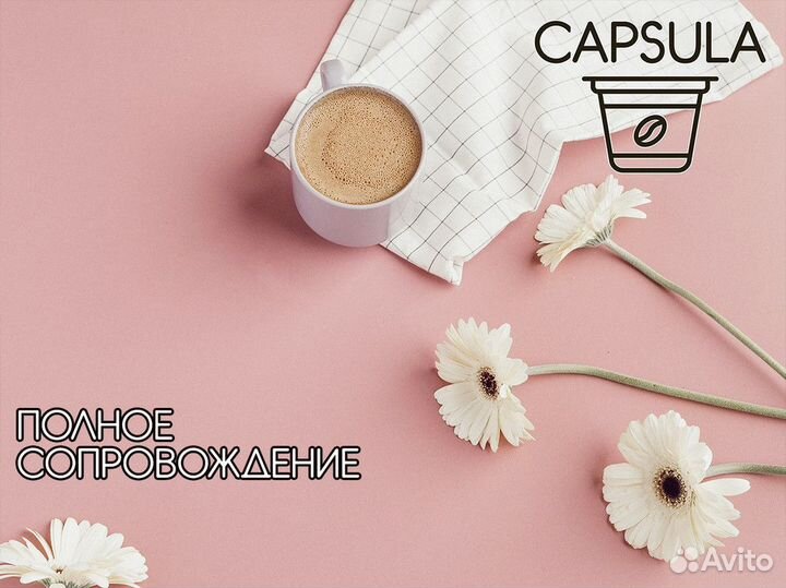 Capsula: путь к вашему бизнесу