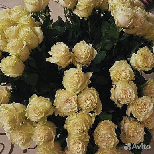 101 роза Букет