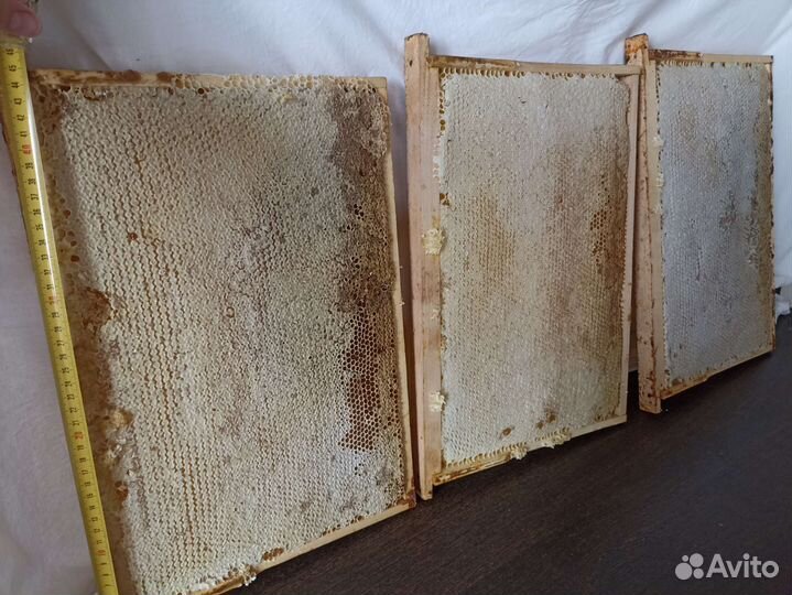 Мëд акация, мёд в сотах, забрус