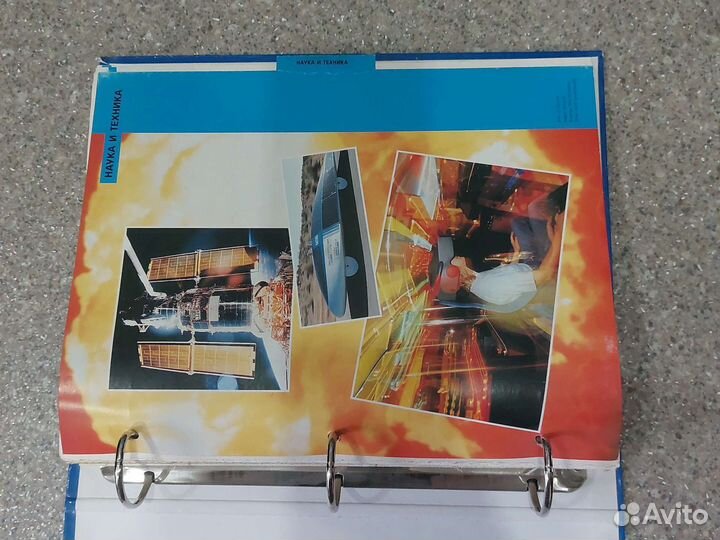 Древо познания