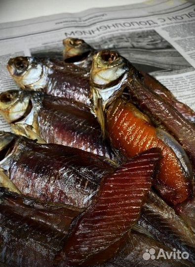 Вобла вяленая из Астрахани 20 штук