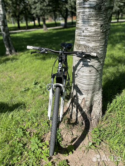 Scott aspect 60 (2014)