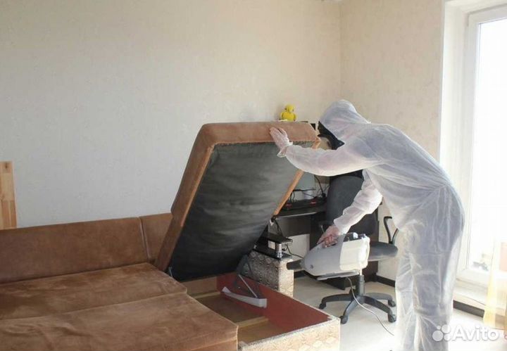 Уничтожение клопов, тараканов, муравьев