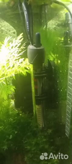 Аквариум с рыбками и принадлежностями