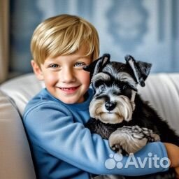 Продается щенок цвергшнауцера