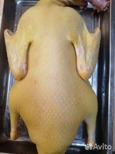 Мясо утки мулард