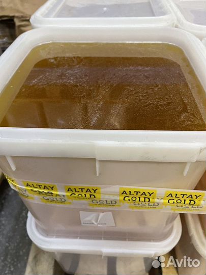 Цветочный мед оптом свежая качка