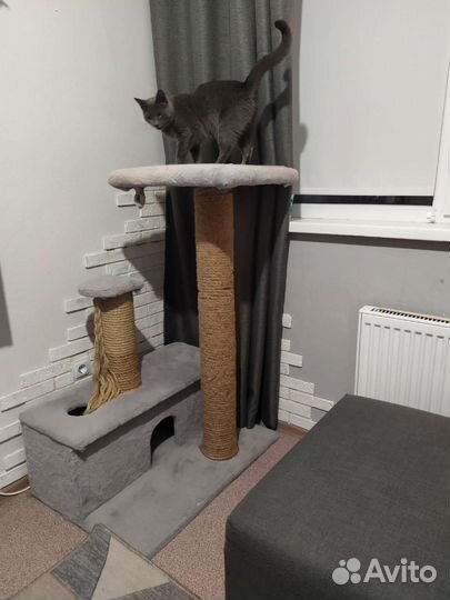 Когтеточка домик для кошки