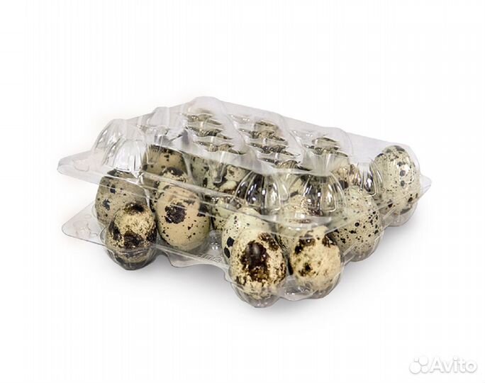 Контейнер для перепелиных яиц, 20 ячеек