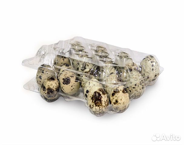 Контейнер для перепелиных яиц, 20 ячеек