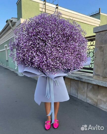 Цветы Гипсофила букеты коробки Доставка 24/7