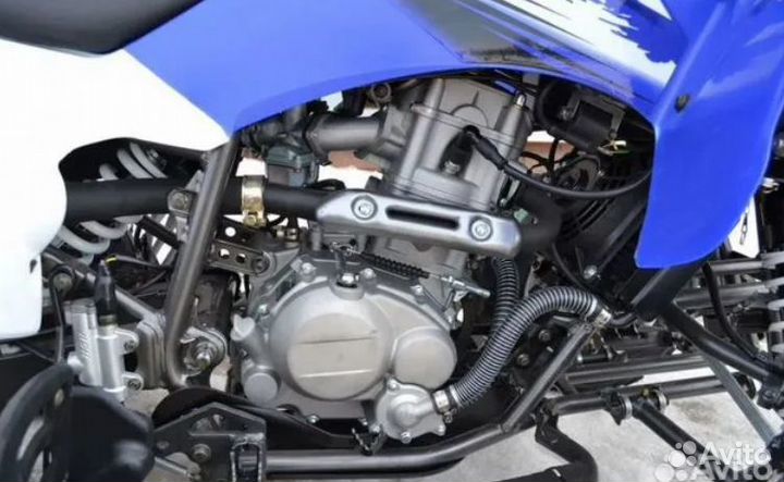 Квадроцикл Motoland ATV 250 S синий