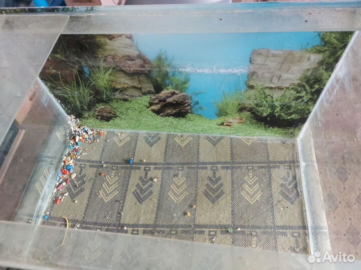Аквариум