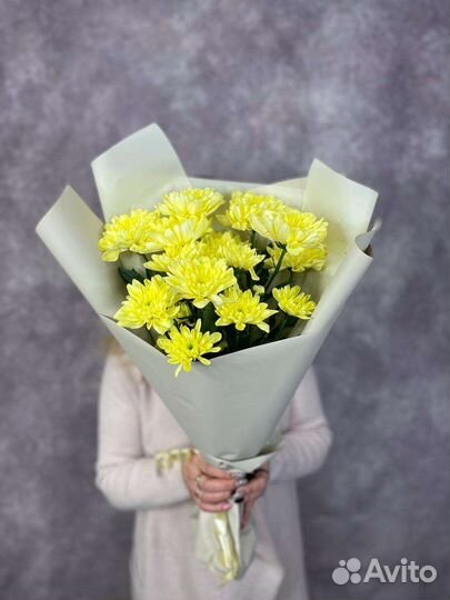 Цветы. Хризантемы с доставкой