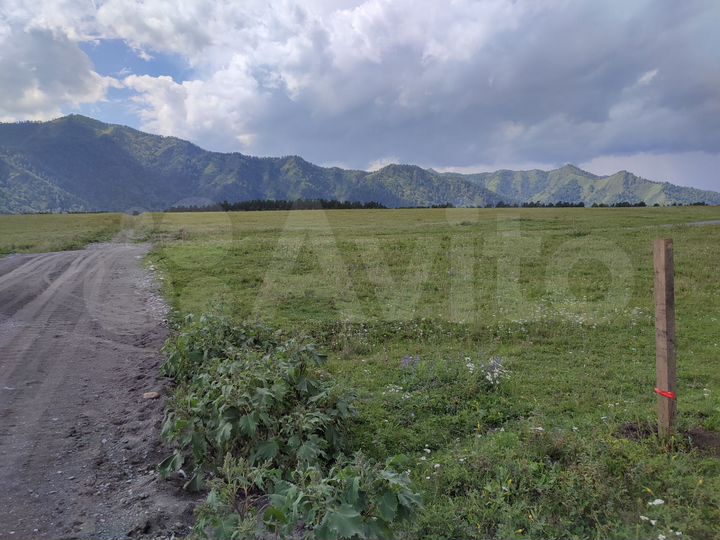 Участок 40 сот. (СНТ, ДНП)