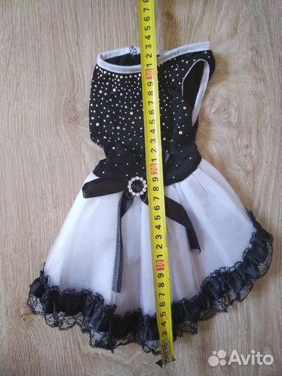 Одежда для собак