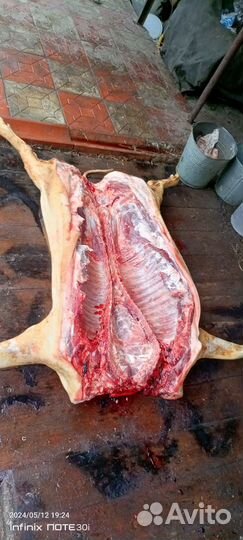 Мясо свинина домашняя