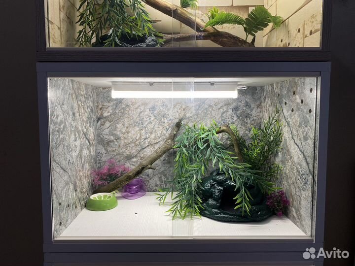 Комплект для эублефара