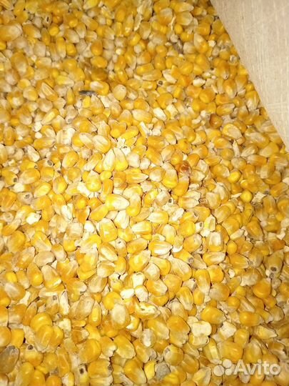 Товары для животных