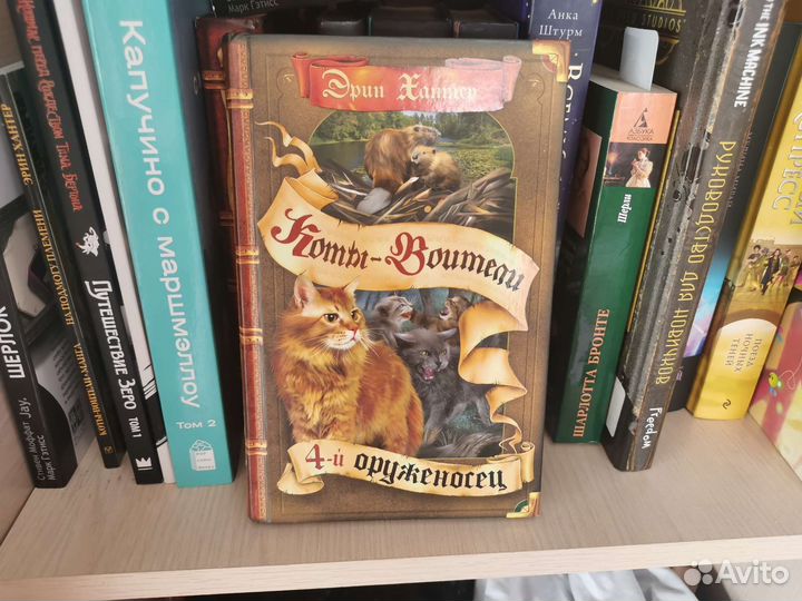 Коты-воители-4 оруженосец