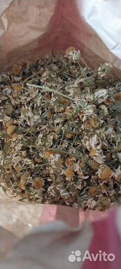 Ромашка сушеная, лист малины