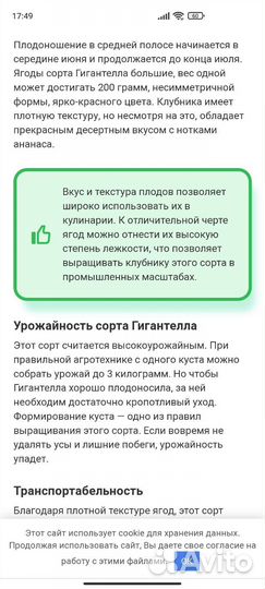 Усы клубники Гигантелла