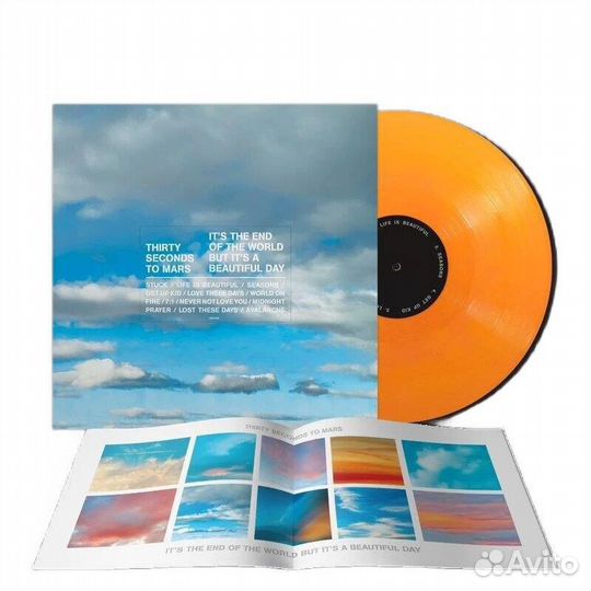 Виниловая пластинка Thirty Seconds To Mars -It's T