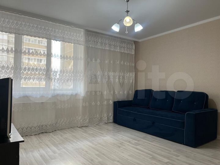 1-к. квартира, 43,5 м², 4/17 эт.