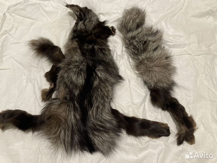 Шкурка лисы чернобурки