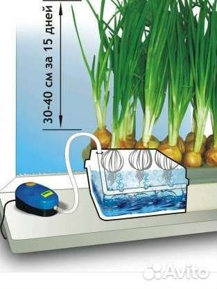 Гидропонная установка,Луковое счастье,умный огород