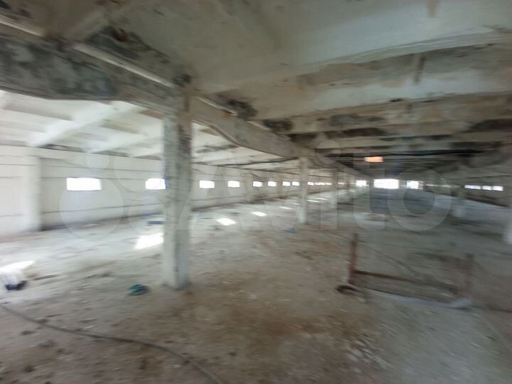 Участок 40 сот. (СНТ, ДНП)