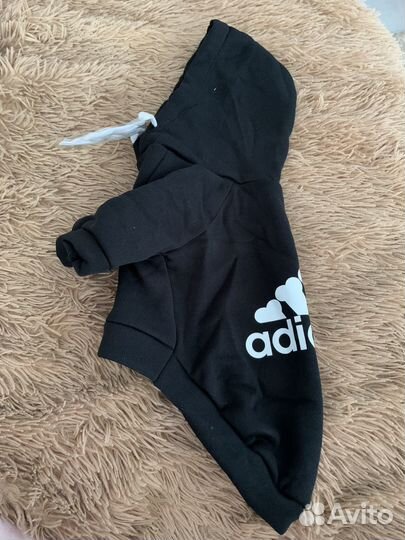 Одежда для собак