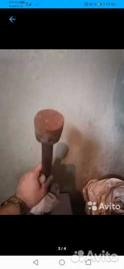 Лапа сапожника