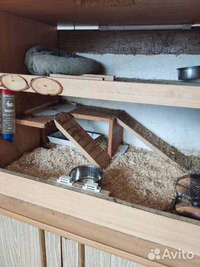 Домик для морских свинок