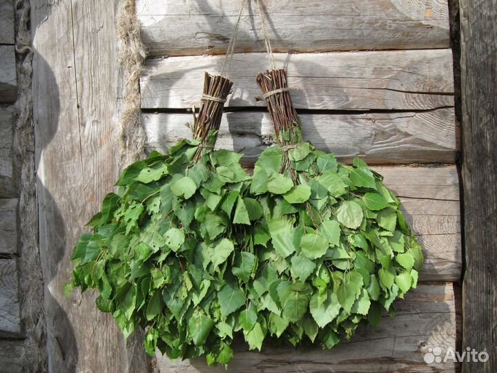 Веники для бани берёзовый