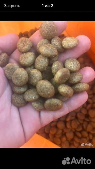 Сухой Корм для собак, корм премиум класса