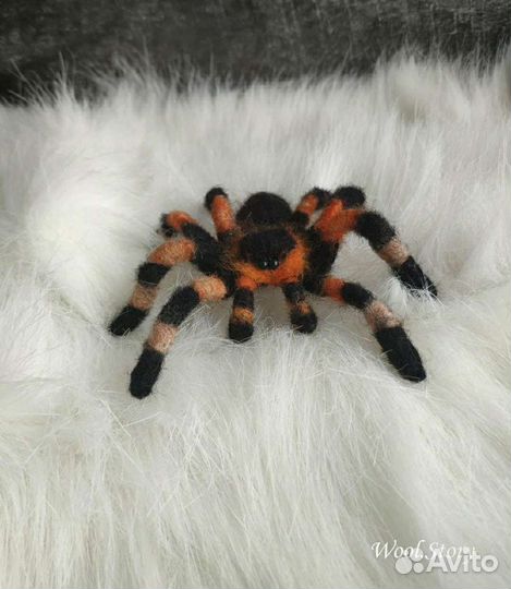 Реалистичный паук