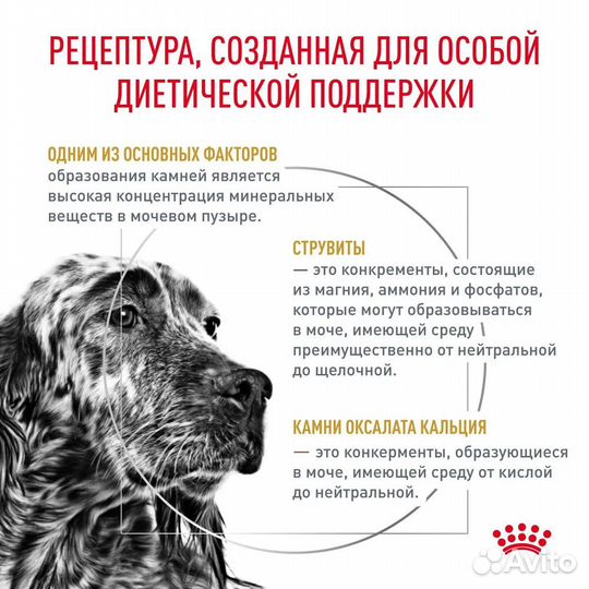 Сухой корм Royal Canin Urinary для собак при лечен