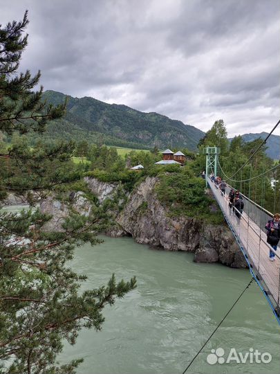 Тур по Горному Алтаю на 7 дней всё включено