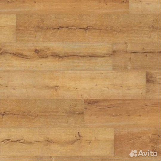 Ламинат Wineo Wineo 500 XL V4 LA044XLV4 Дуб Тироль