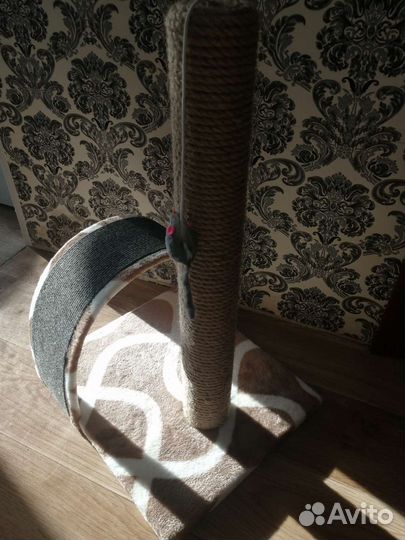 Когтеточка